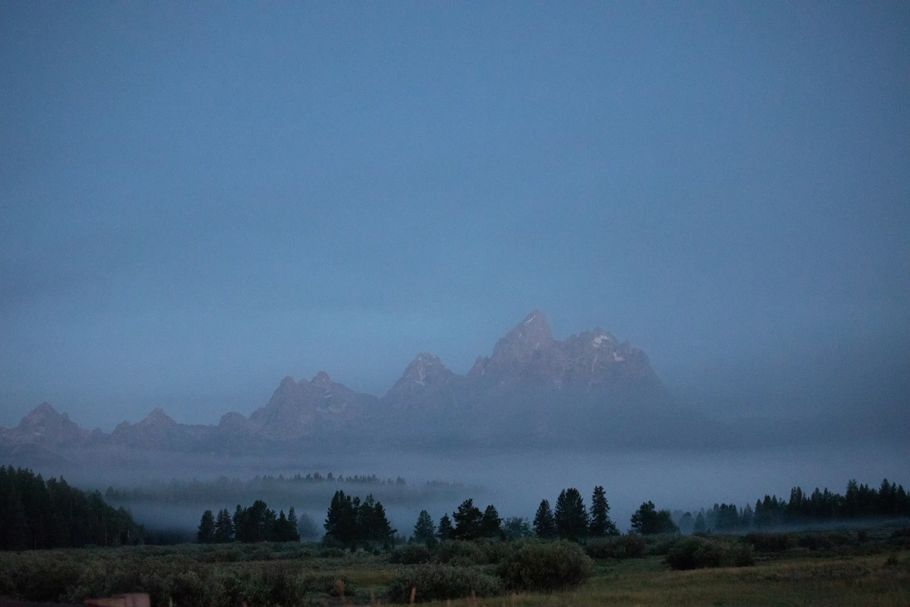 Wild Wide West